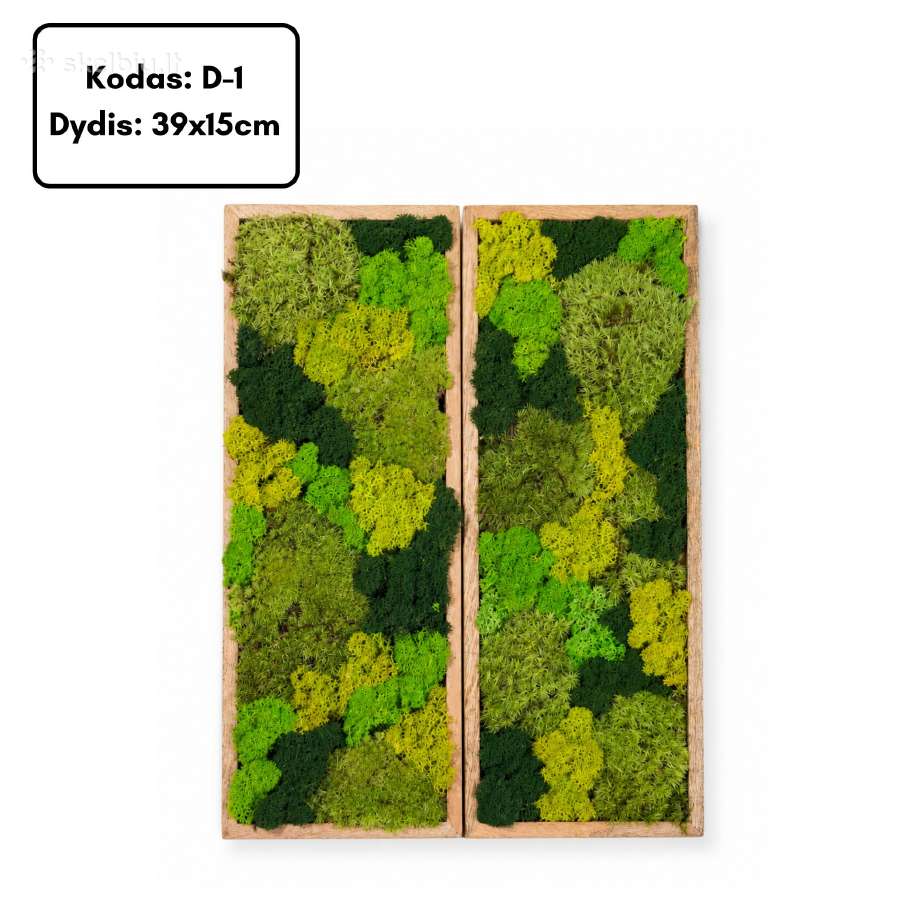 Samanų paveikslai ir dekoracijos, stabilizuotos - nuotraukos Nr. 5