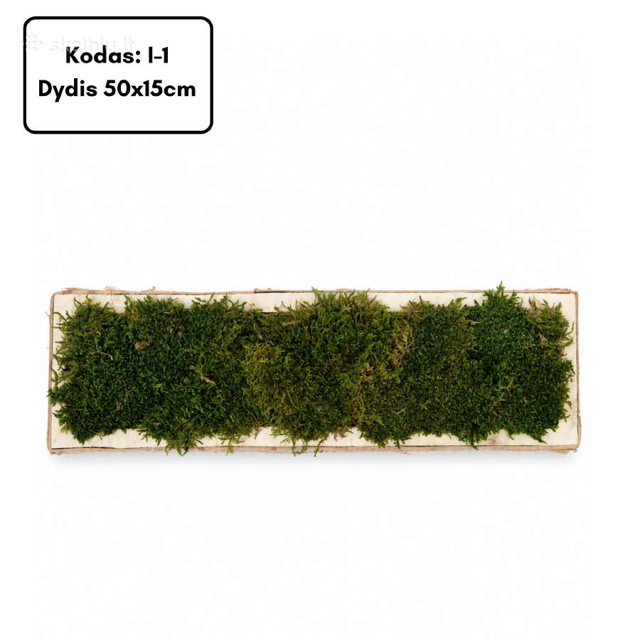 Samanų paveikslai ir dekoracijos, stabilizuotos - nuotraukos Nr. 21