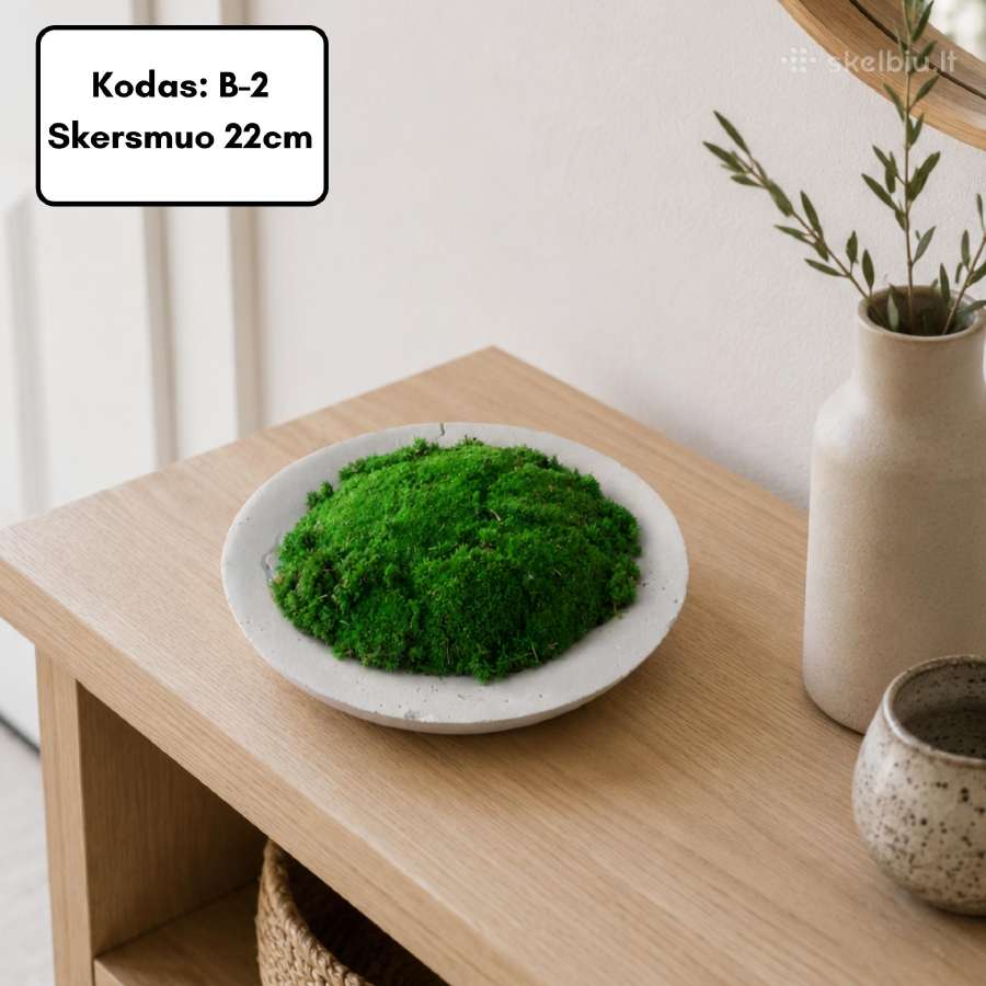 Samanų paveikslai ir dekoracijos, stabilizuotos - nuotraukos Nr. 33