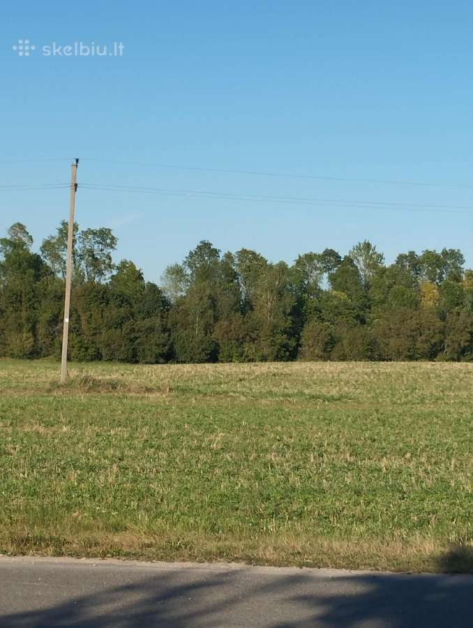 Parduodu 0,64 ha žemės sklypas netoli Vešeikiu k - nuotraukos Nr. 2