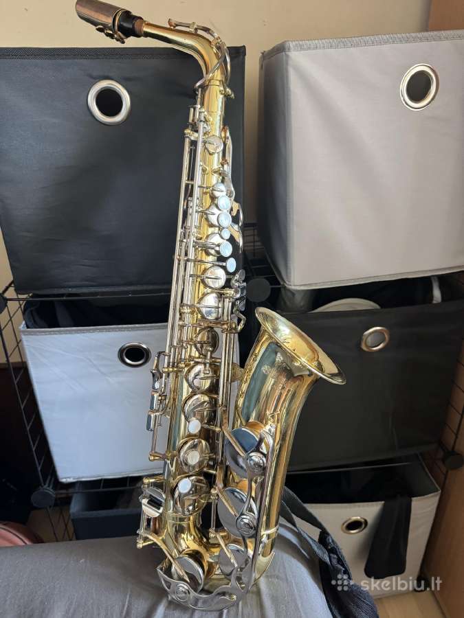 Klarnetas, Fleita , Casio Dh-100, Miraphone 1-k - nuotraukos Nr. 2