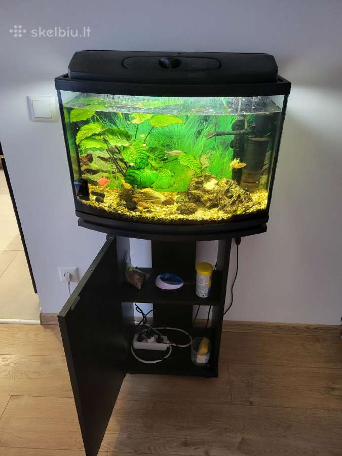 Parduodam akvariumą su spintele - nuotraukos Nr. 2