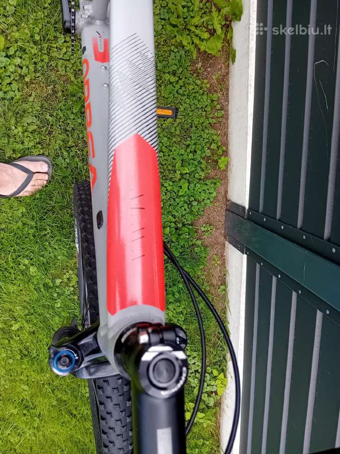 Orbea Alma L dydis 29er - nuotraukos Nr. 3