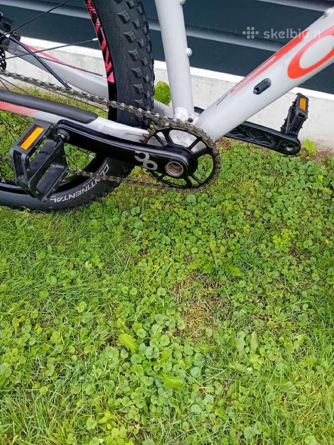 Orbea Alma L dydis 29er - nuotraukos Nr. 5