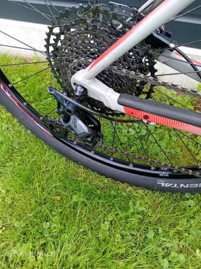 Orbea Alma L dydis 29er - nuotraukos Nr. 6
