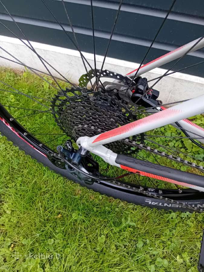 Orbea Alma L dydis 29er - nuotraukos Nr. 7