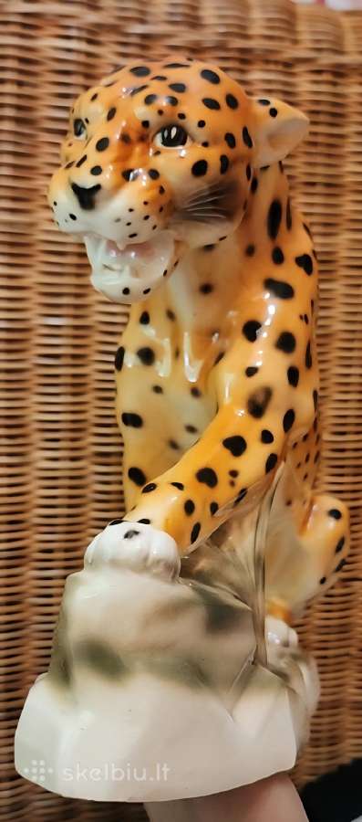 Porcelianinis leopardas - nuotraukos Nr. 3