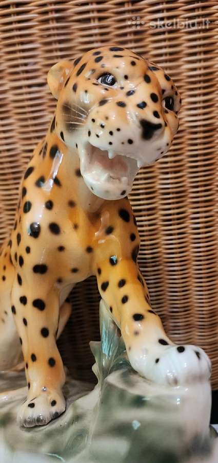 Porcelianinis leopardas - nuotraukos Nr. 4