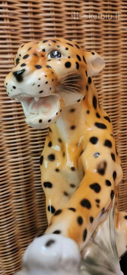 Porcelianinis leopardas - nuotraukos Nr. 5