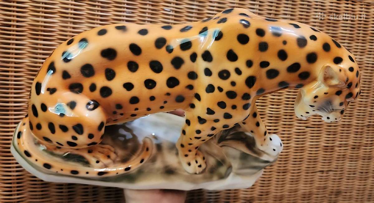 Porcelianinis leopardas - nuotraukos Nr. 7