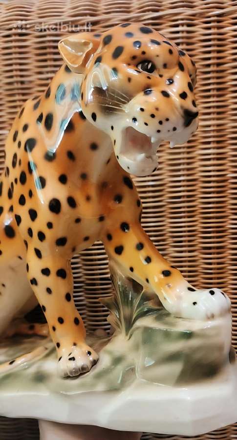 Porcelianinis leopardas - nuotraukos Nr. 8