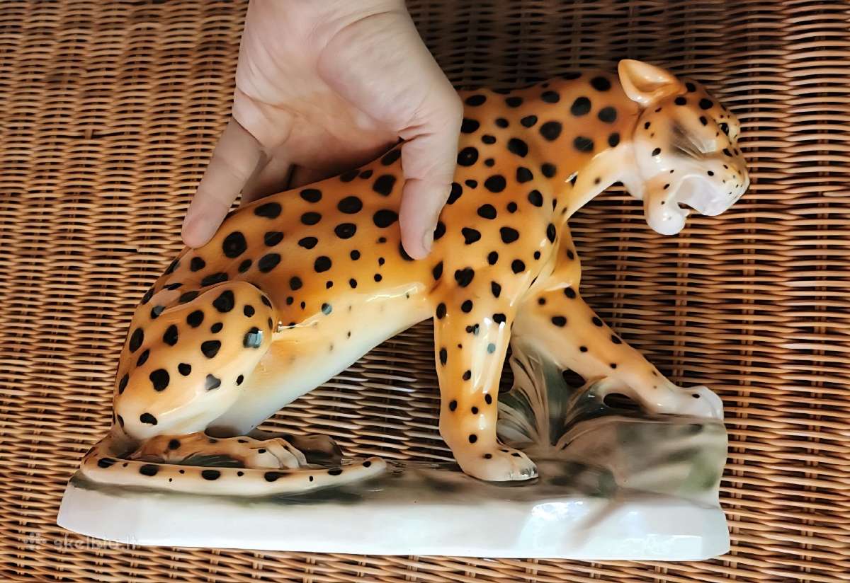 Porcelianinis leopardas - nuotraukos Nr. 10