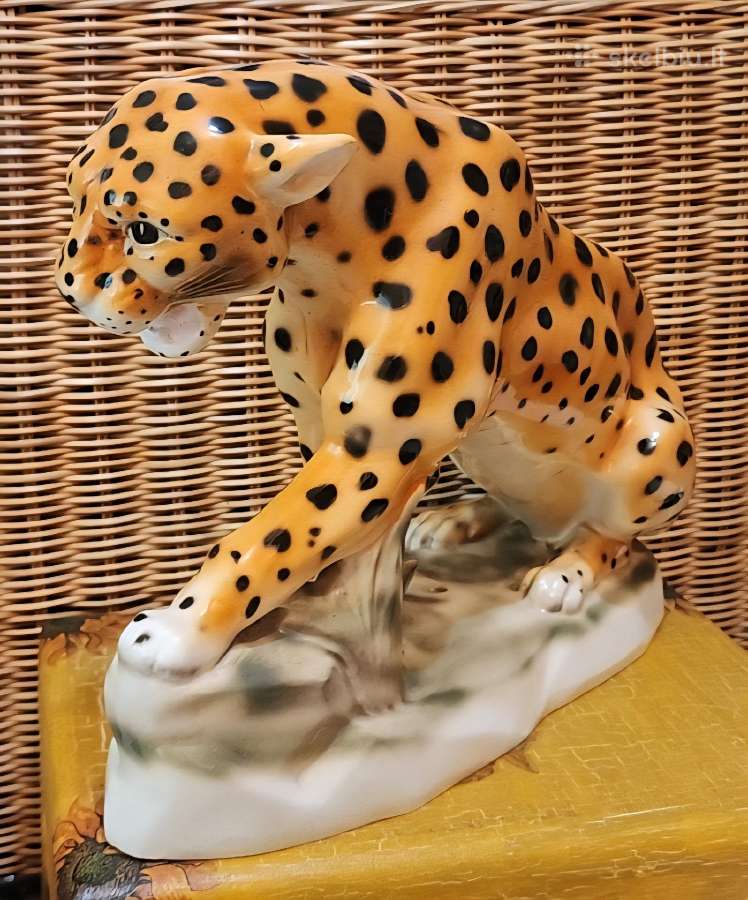 Porcelianinis leopardas - nuotraukos Nr. 3