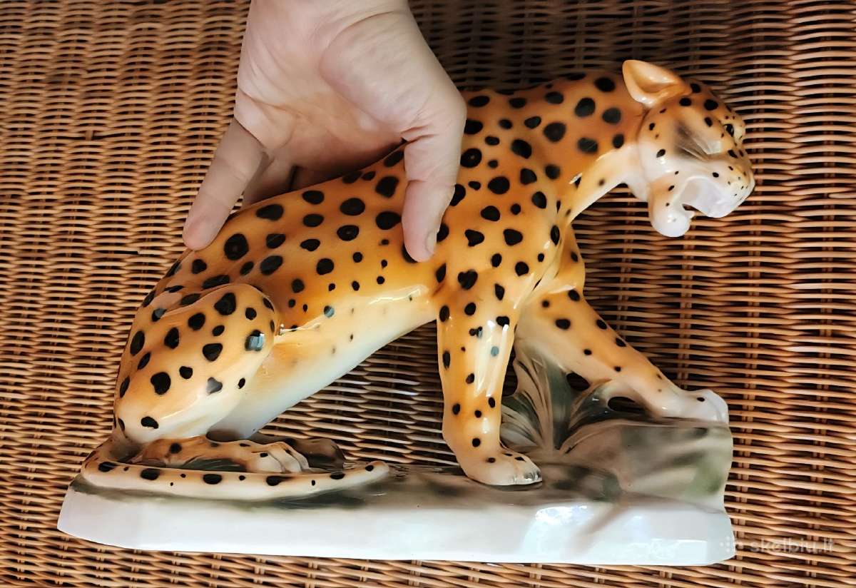 Porcelianinis leopardas - nuotraukos Nr. 4