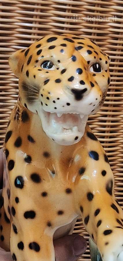 Porcelianinis leopardas - nuotraukos Nr. 6