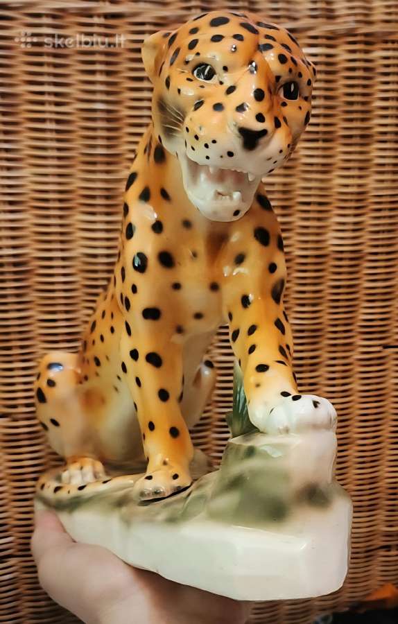 Porcelianinis leopardas - nuotraukos Nr. 7