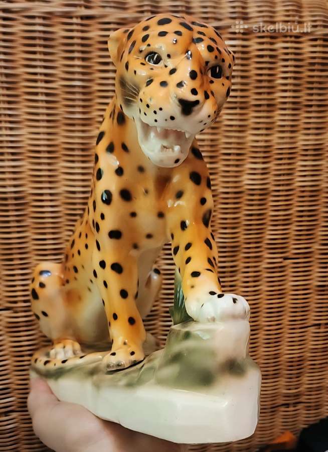 Porcelianinis leopardas - nuotraukos Nr. 8