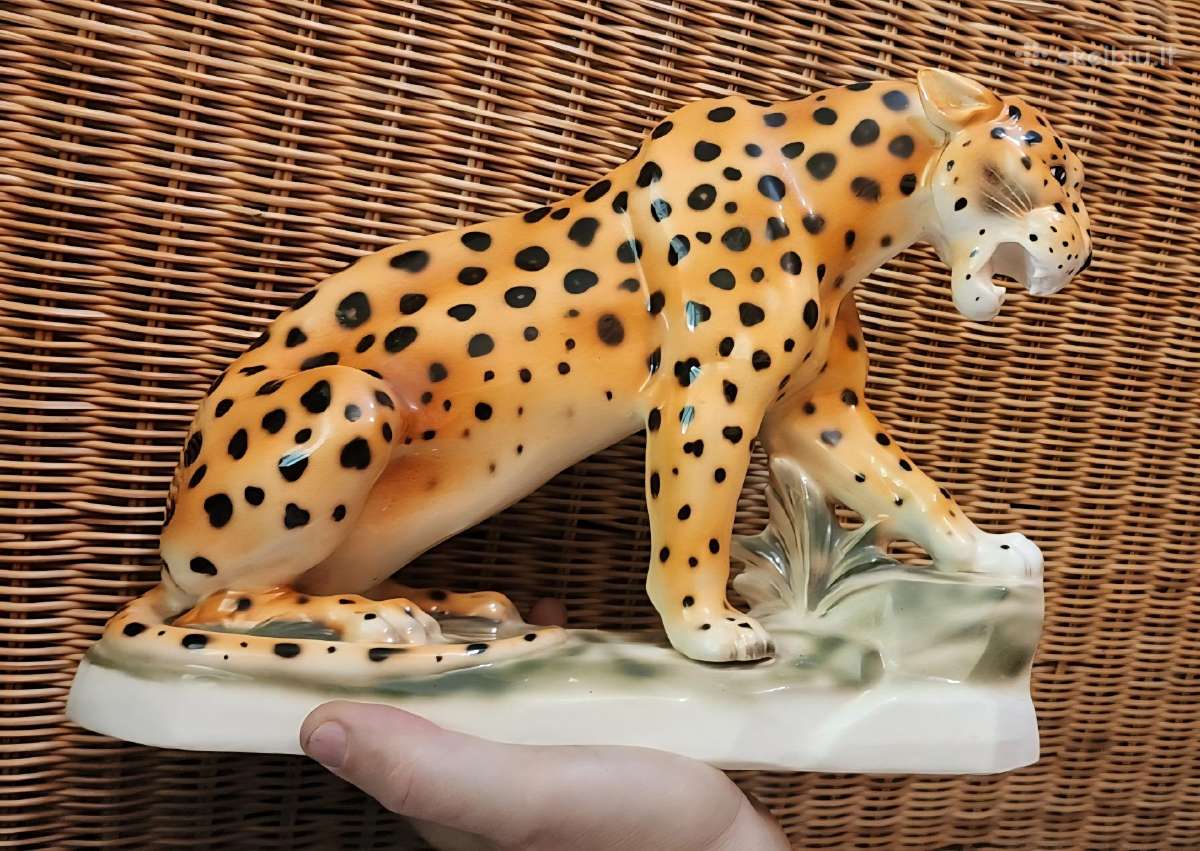 Porcelianinis leopardas - nuotraukos Nr. 9