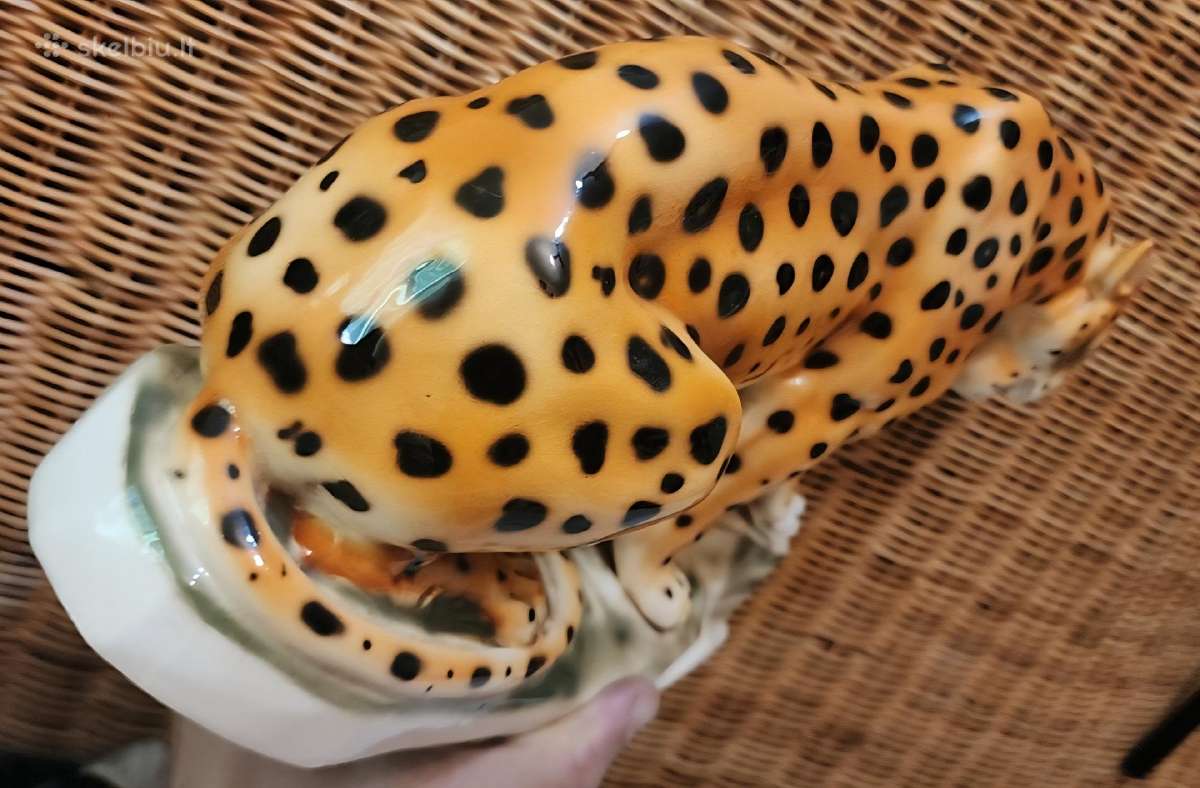 Porcelianinis leopardas - nuotraukos Nr. 10