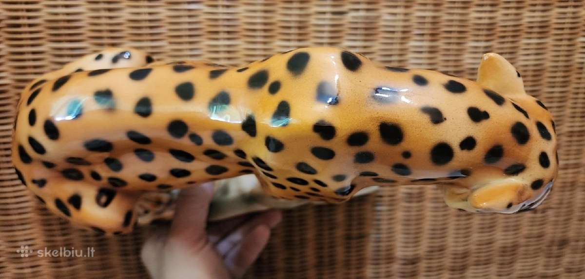 Porcelianinis leopardas - nuotraukos Nr. 11