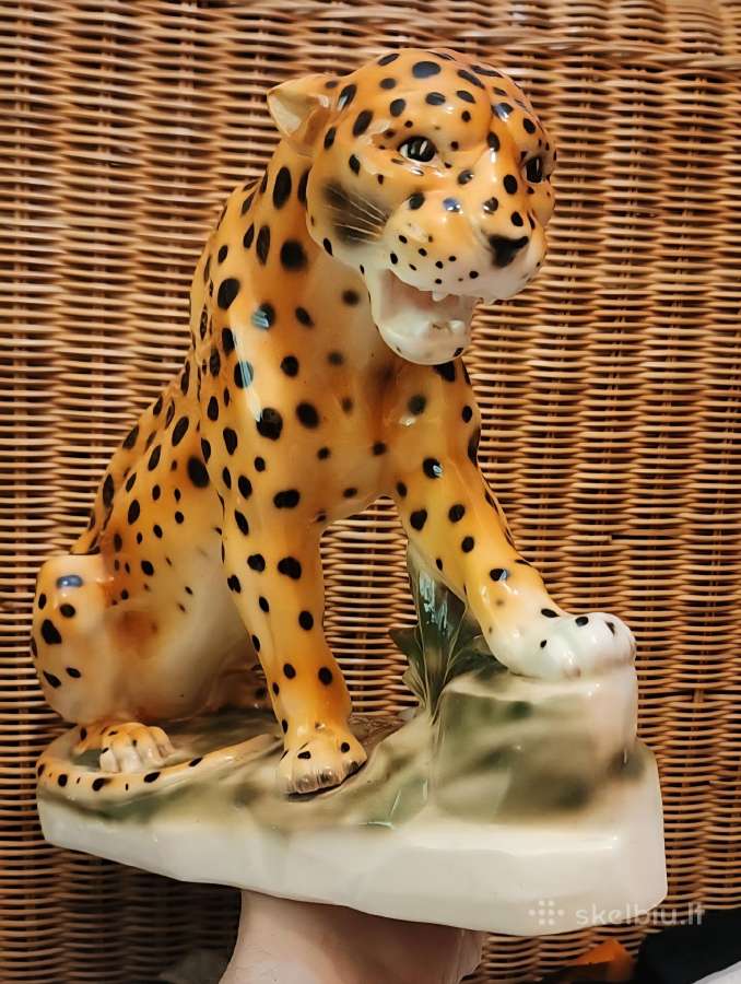 Porcelianinis leopardas - nuotraukos Nr. 12
