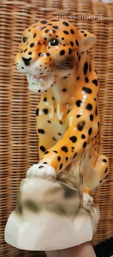 Porcelianinis leopardas - nuotraukos Nr. 13