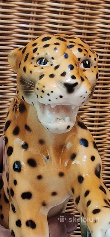 Porcelianinis leopardas - nuotraukos Nr. 14