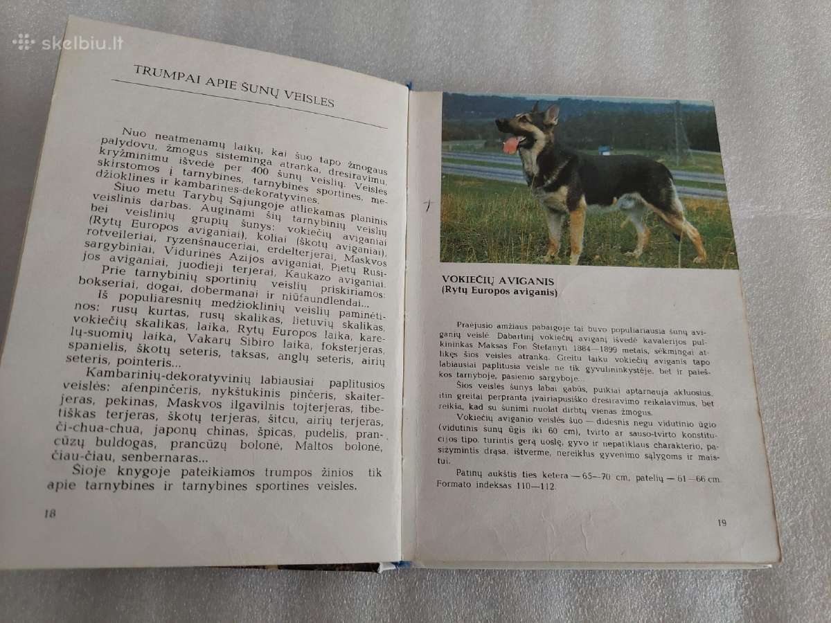 Tarnybinė šunininkystė - nuotraukos Nr. 4