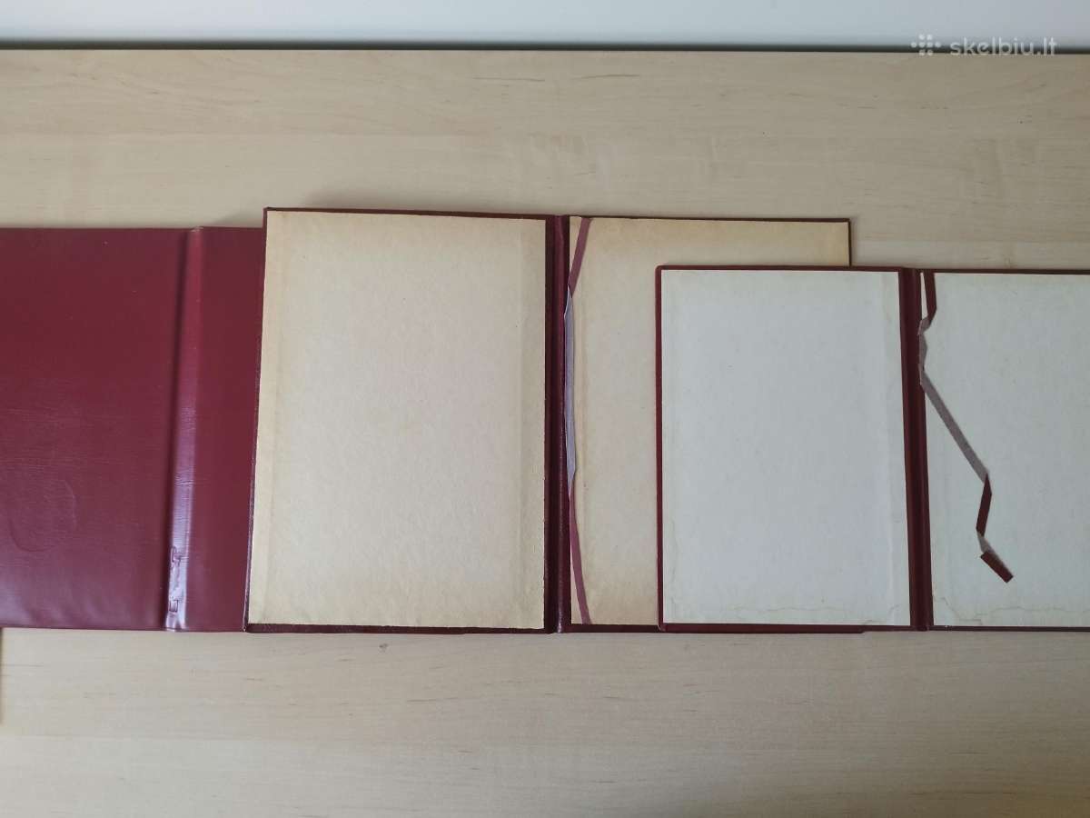 Garbės Raštas Diplomas - nuotraukos Nr. 7