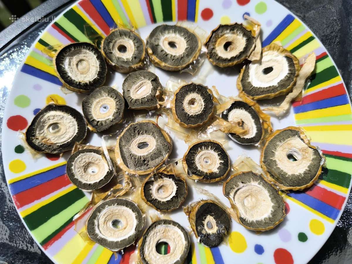 Parduodu 3kg poniabudžių, Vilnius, Pilaitė - nuotraukos Nr. 15