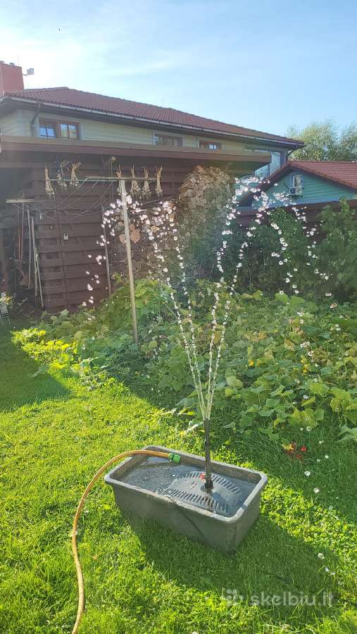 Kiemo ar sodo baseino fotanėlis - nuotraukos Nr. 6