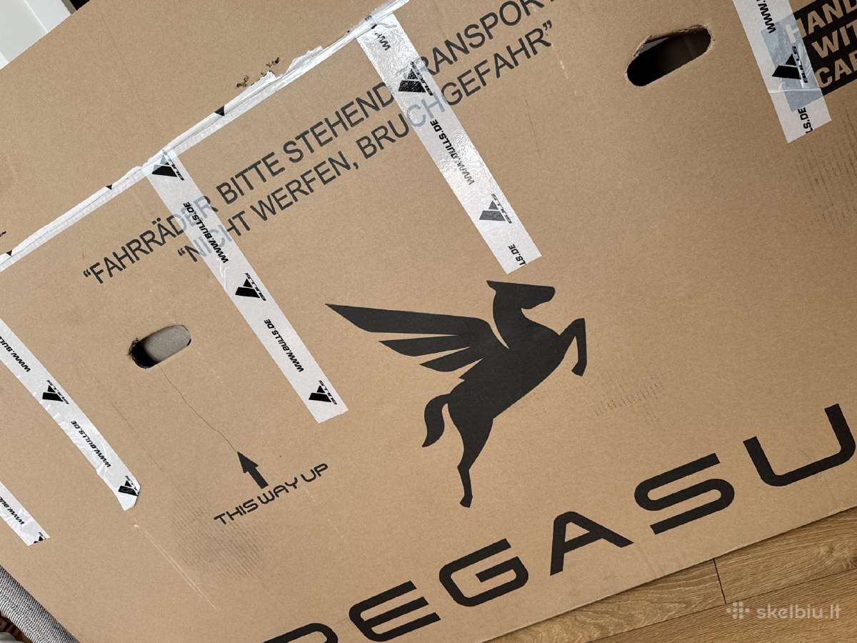Naujas Pegasus Solero miesto dviratis - nuotraukos Nr. 9