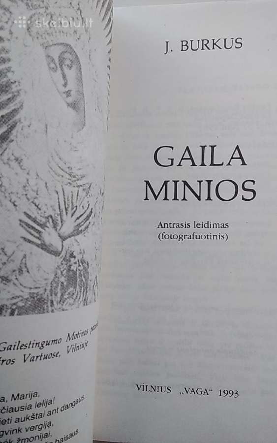 Gaila minios - nuotraukos Nr. 2