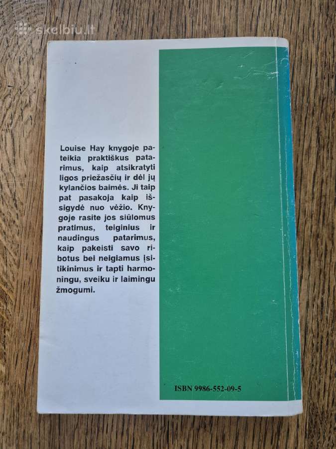 Mylėdamas save tu būsi laimingas (Louise L. Hay) - nuotraukos Nr. 2