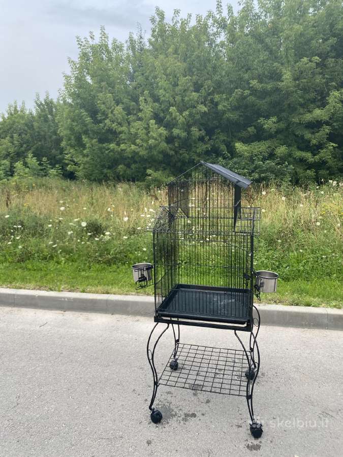 Parduodu papugu narva 50 eur - nuotraukos Nr. 5