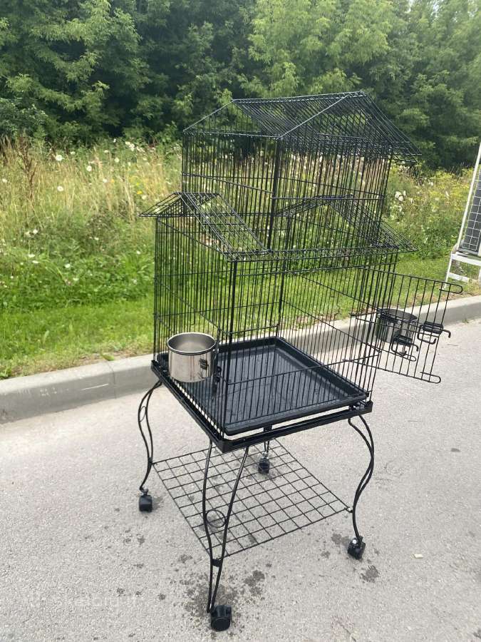 Parduodu papugu narva 50 eur - nuotraukos Nr. 6