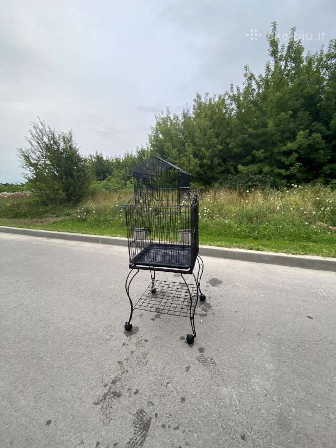 Parduodu papugu narva 50 eur - nuotraukos Nr. 8