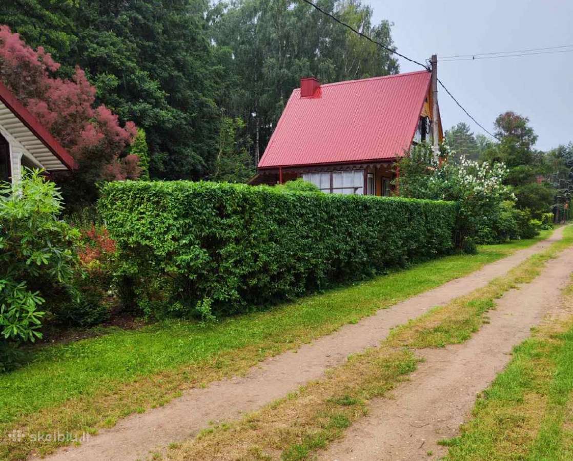 Tujų, Medžių genėjimas, Aeravimas, Žolės pjovimas - nuotraukos Nr. 7
