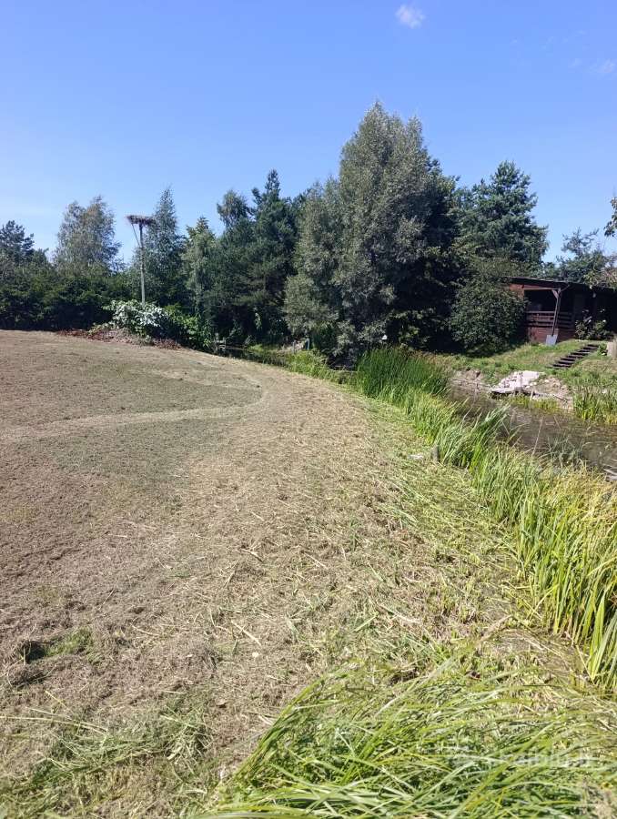 Parduodamas sodo sklypas - nuotraukos Nr. 10