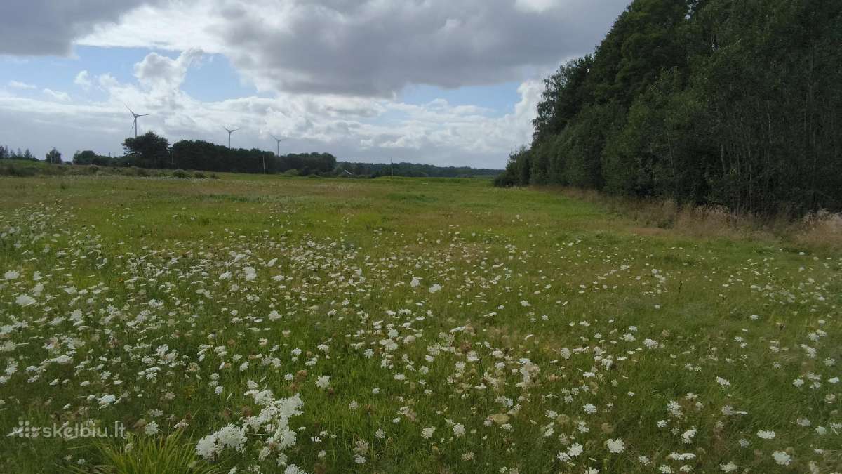 Parduodu - nuotraukos Nr. 5