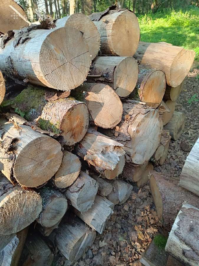 Parduodama 30 erdm. spygliuočio malkų rąsteliais - nuotraukos Nr. 2