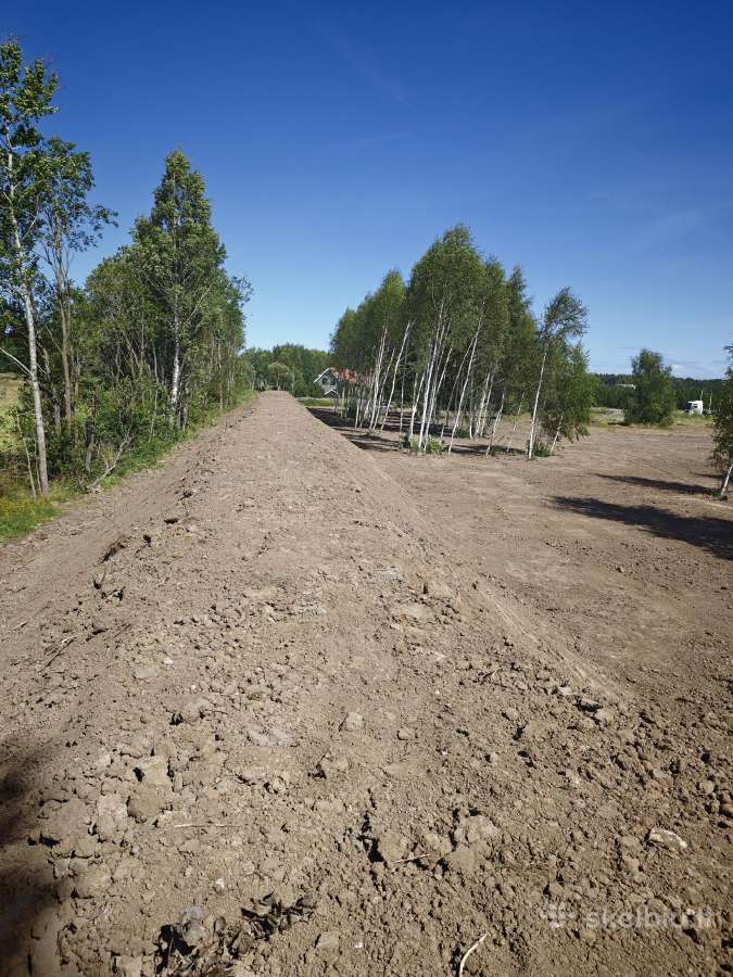Medžių pjovimas,genėjimas,apleistų sklypų, šakų - nuotraukos Nr. 21