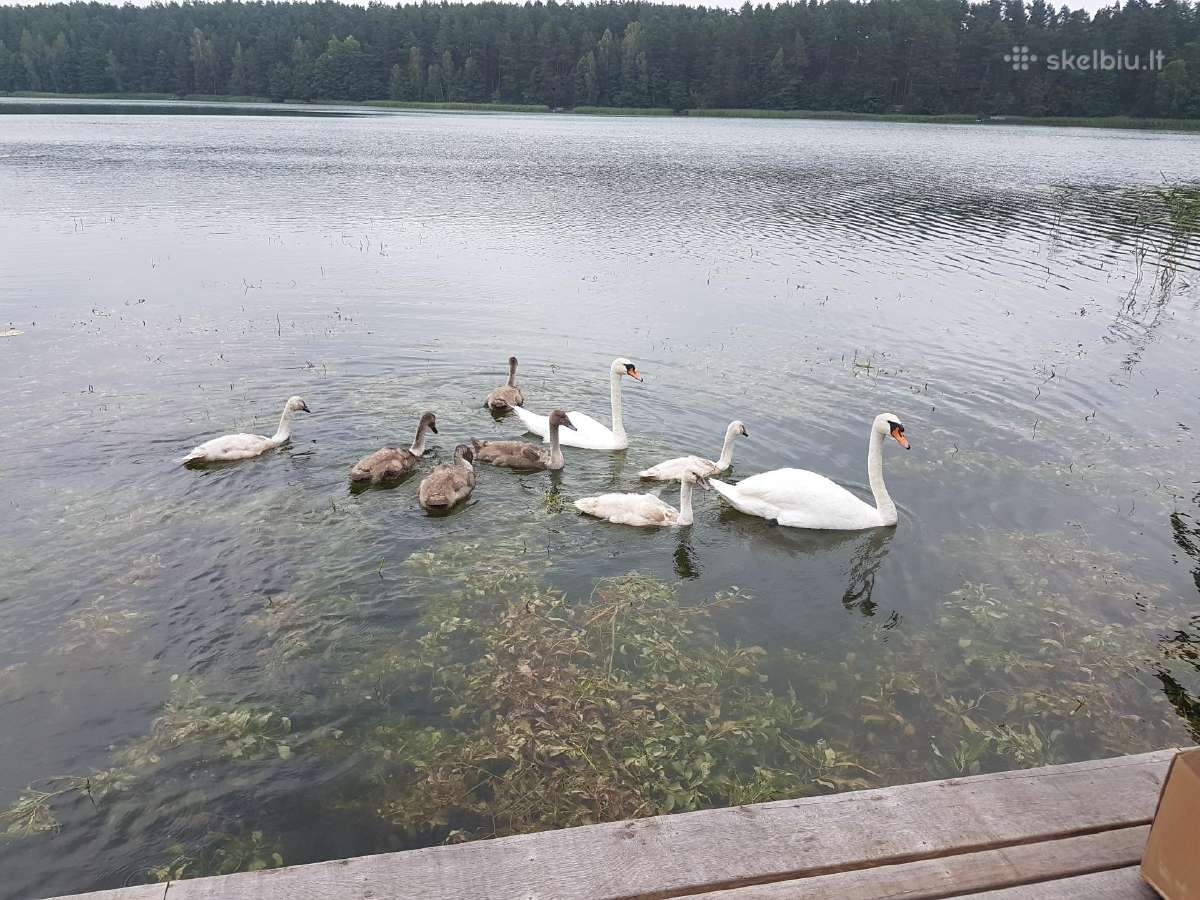 Parduodama sodyba ant uosio ezero kranto - nuotraukos Nr. 8