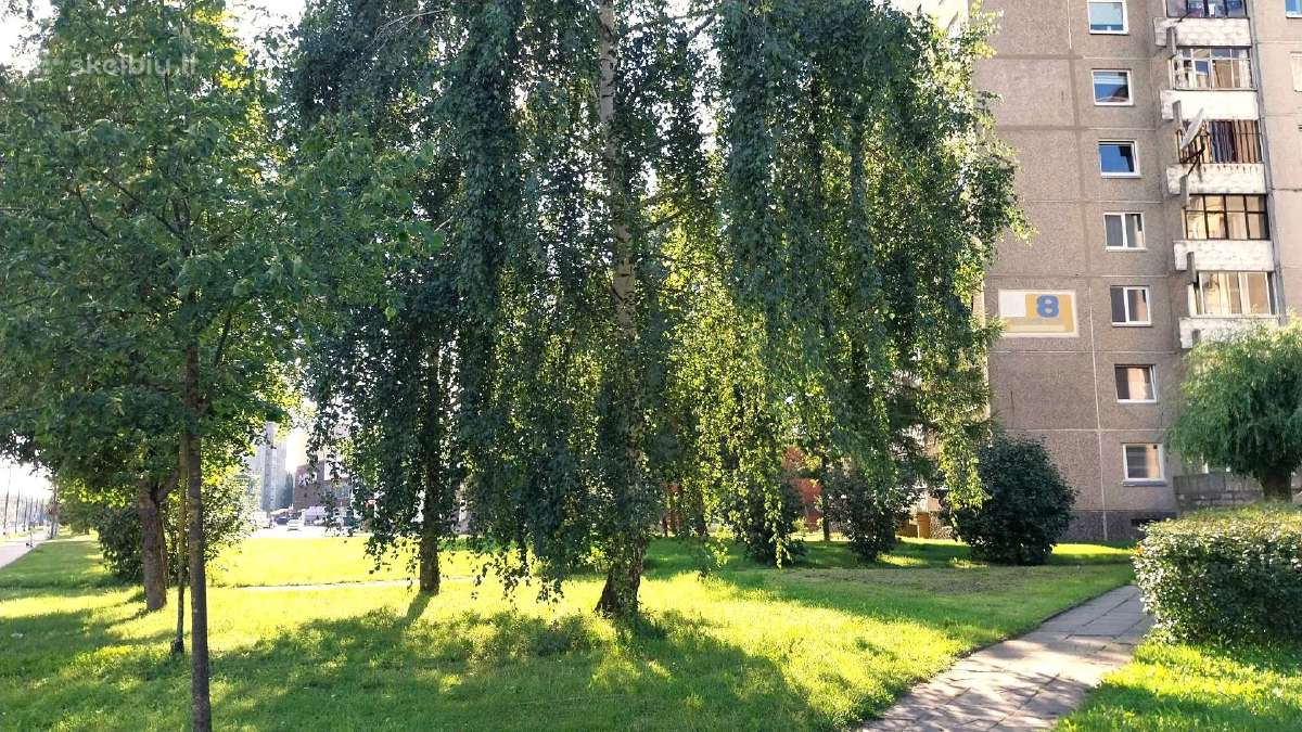 Didelis kambarys studentui vaikinui Eiguliai, Ši - nuotraukos Nr. 12