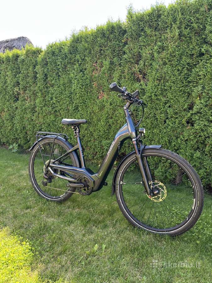 Pegasus elektrinis, bosch CX smart 750, M dydis - nuotraukos Nr. 2