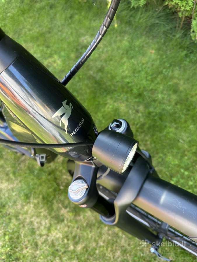 Pegasus elektrinis, bosch CX smart 750, M dydis - nuotraukos Nr. 7