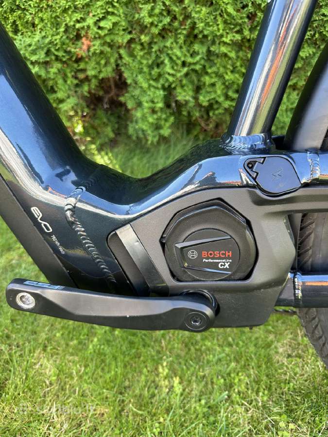 Pegasus elektrinis, bosch CX smart 750, M dydis - nuotraukos Nr. 8