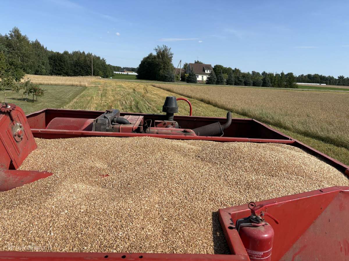 Massey ferguson 206 - nuotraukos Nr. 3