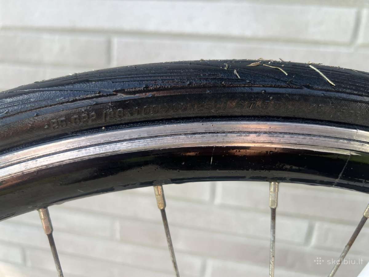 Giant Defy Plentinis - nuotraukos Nr. 6