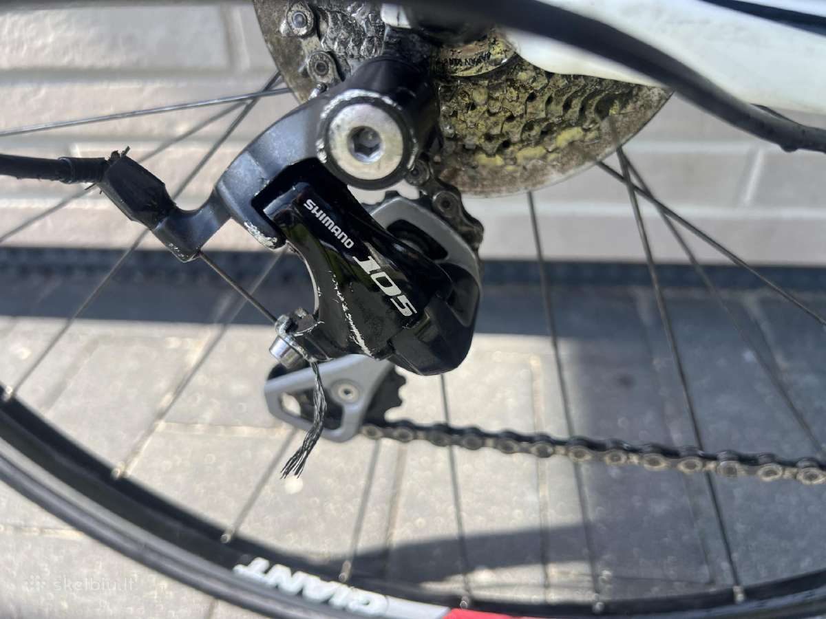 Giant Defy Plentinis - nuotraukos Nr. 7